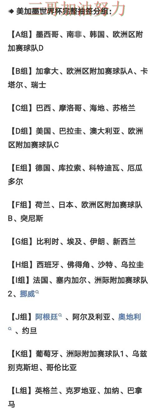 世界杯竞猜怎么选别乱选，最新盘点给你答案（World Cup 2026）